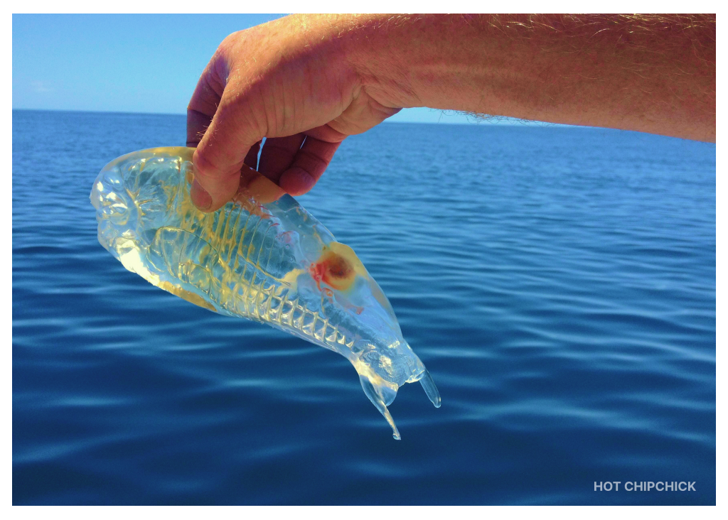 Salps: The World’s Fastest-Growing Animals That Resemble Snot